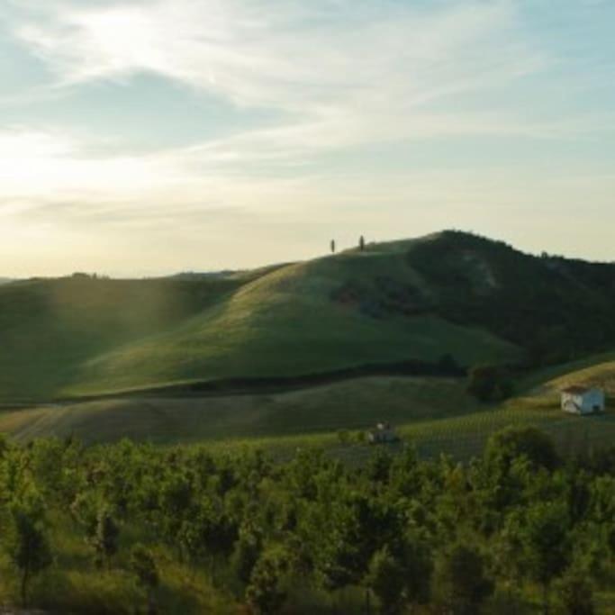 Villa Poggio ai Legni Certaldo Esterno foto